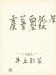 舌苔白腻厚有齿痕有裂纹