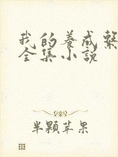 我的养成系女友全集小说封面