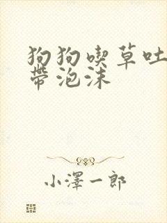 狗狗吃草吐黄水带泡沫