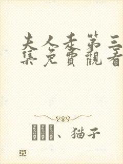 夫人走第三年全集免费观看封面