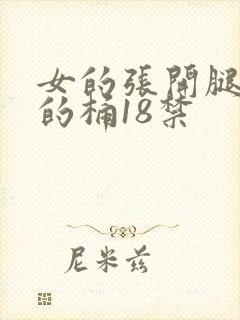 女的张开腿让男的桶18禁