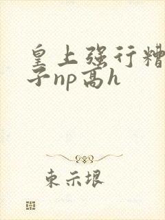 皇上强行糟蹋太子np高h封面