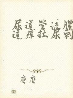 尿道管流脓,尿道痒拉尿刺痛