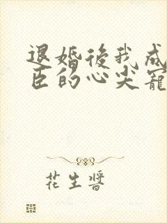 退婚后我成了权臣的心尖宠