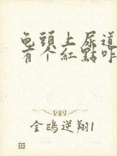 龟头上尿道口旁有个红点咋回事封面