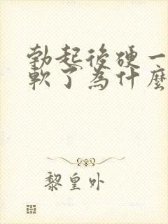 勃起后硬一会就软了为什么