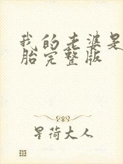 我的老婆是双胞胎完整版