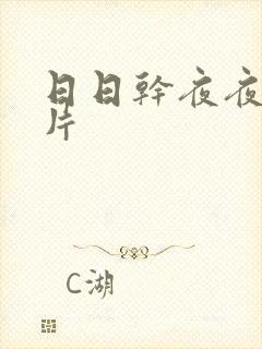 日日干夜夜操毛片