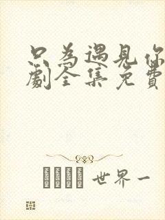 只为遇见你电视剧全集免费