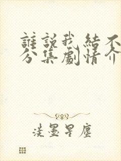 谁说我结不了婚分集剧情介绍