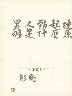 男人勃起硬度不够是什么原因造成的