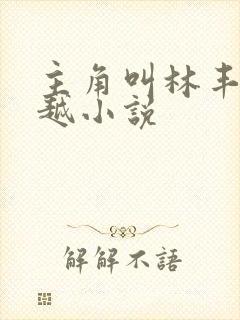 主角叫林丰的穿越小说