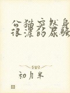 公猫突然身上有很浓的尿骚味封面