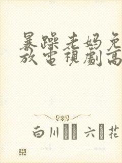 暴躁老妈免费播放电视剧高清