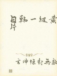 日韩一级黄色大片