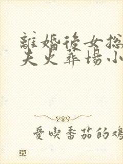 离婚后女总裁追夫火葬场小说