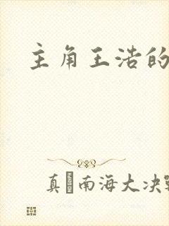 主角王浩的小说