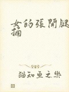 女的张开腿男的捅