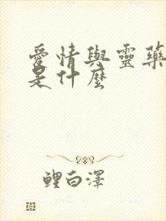 爱情与灵药讲的是什么封面