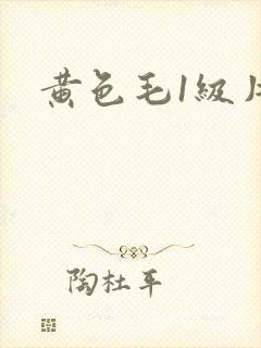 黄色毛1级片