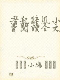 潜龙辞凤小说免费阅读全文最新章节封面