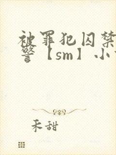 被罪犯囚禁的刑警【sm】小说