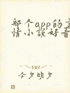 哪个app的言情小说好看