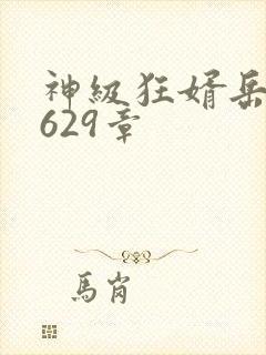 神级狂婿岳风第629章