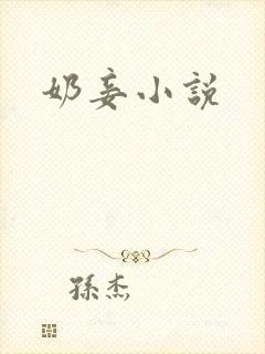 奶妾小说