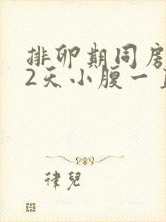 排卵期同房后12天小腹一直隐隐作痛封面