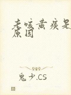 老咳黄痰是什么原因