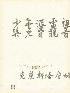 少年派电视剧全集免费观看不卡