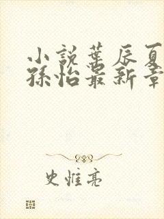 小说叶辰夏若雪孙怡最新章节封面