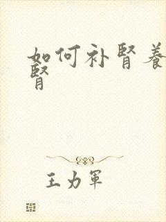 如何补肾养肾护肾