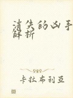 消失的凶手剧情解析