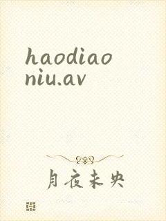 haodiaoniu.av