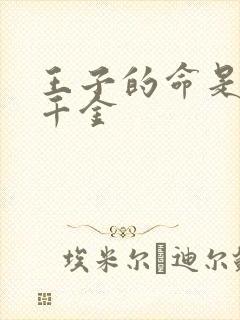 王子的命是恶役千金