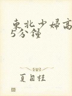 东北少妇高潮45分钟封面