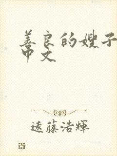 善良的嫂子3 中文封面