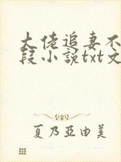 大佬追妻不择手段小说txt文本下载