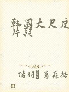 韩国大尺度激情片段封面