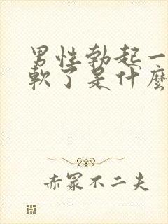 男性勃起一下就软了是什么原因