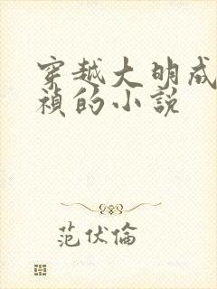 穿越大明成为崇祯的小说