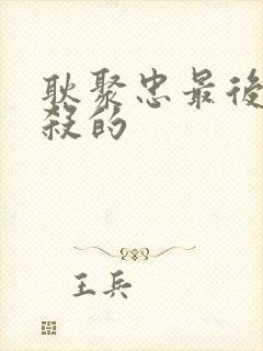 耿聚忠最后被谁杀的封面