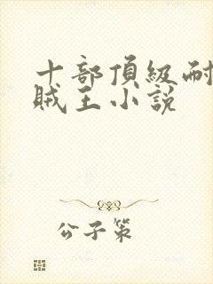 十部顶级耐看海贼王小说