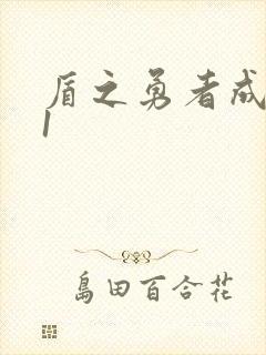 盾之勇者成名录1