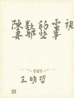 陈数的电视剧夫妻那些事封面