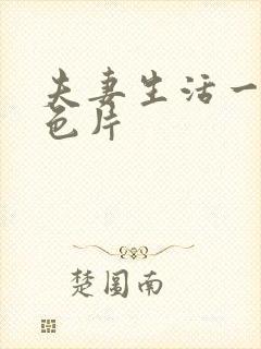 夫妻生活一级黄色片