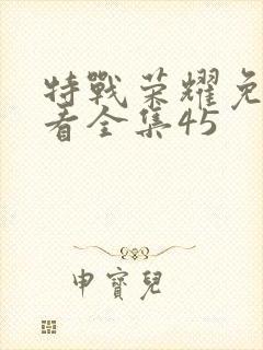 特战荣耀免费观看全集45