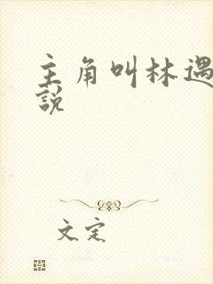 主角叫林遇的小说